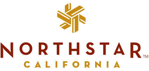 arg-tees-northstar-logo-504x240